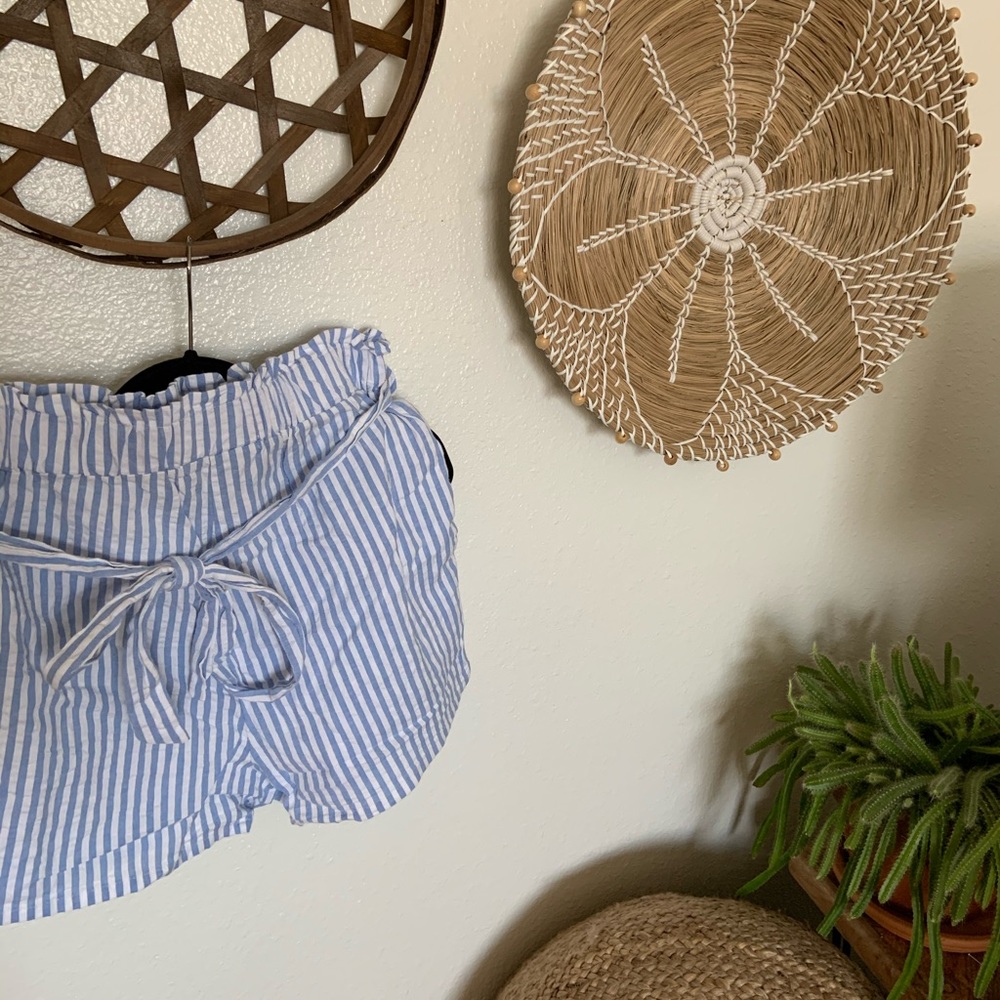 “The Impeccable Pig” High waisted women’s shorts